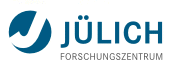 FZ-Jülich logo